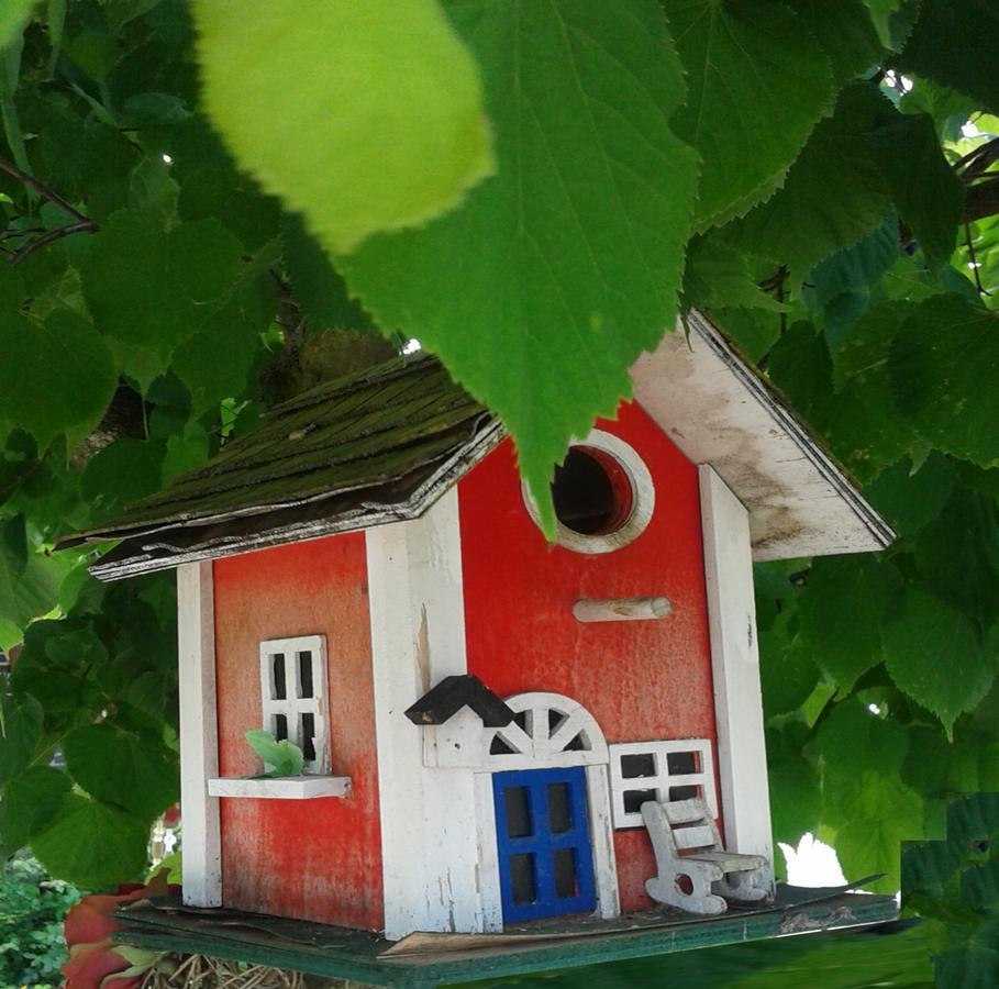 Ferienwohnung Holl Worms Luaran gambar